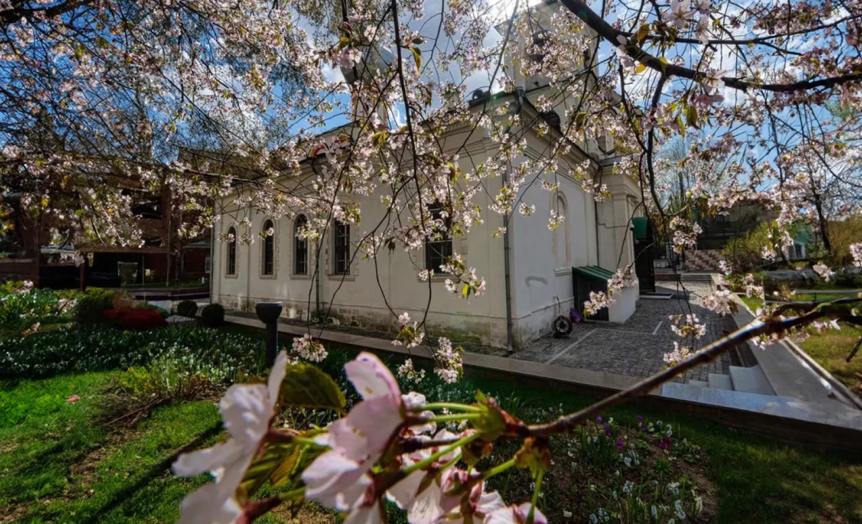 Сакура в Старой Конюшенной слободе