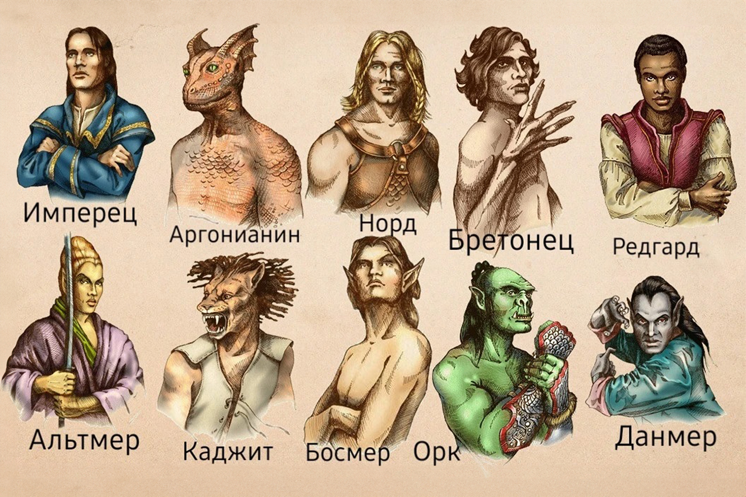 Расы в The Elder Scrolls 4: Oblivion. Кадр: Bethesda Softworks