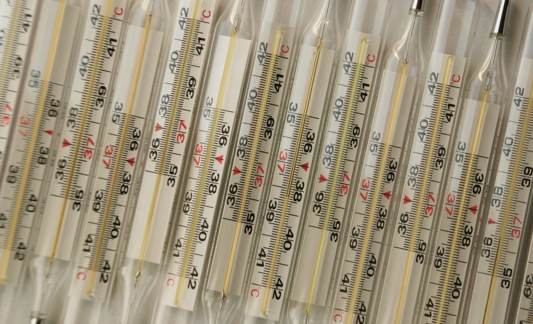 Первый класс опасности