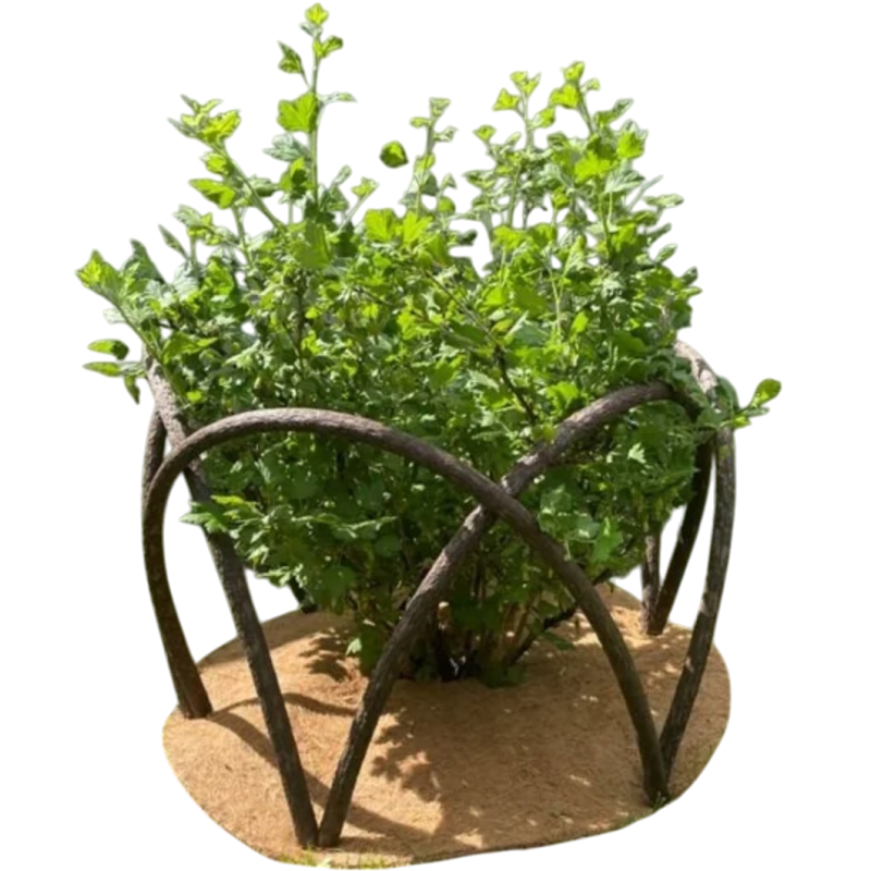 Ограждение из полимерной лозы