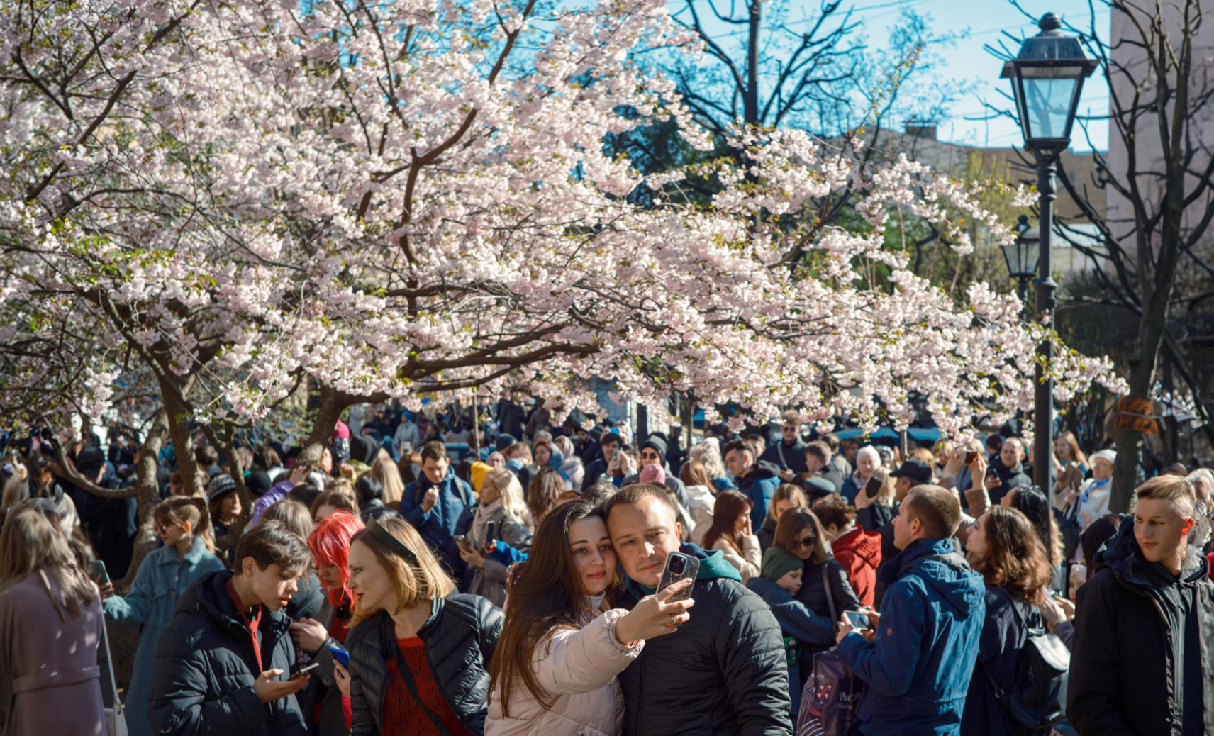 Сад Дружбы на Литейном проспекте