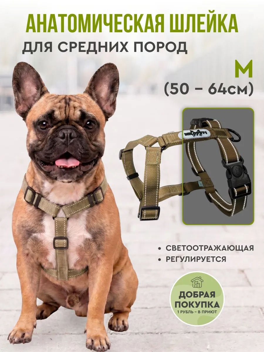 Анатомическая шлейка надежно крепится, не сползает, не мешает собаке двигаться. Если она правильно подобрана и отрегулирована, высвободиться из нее — задача со звездочкой. © ozon.ru
