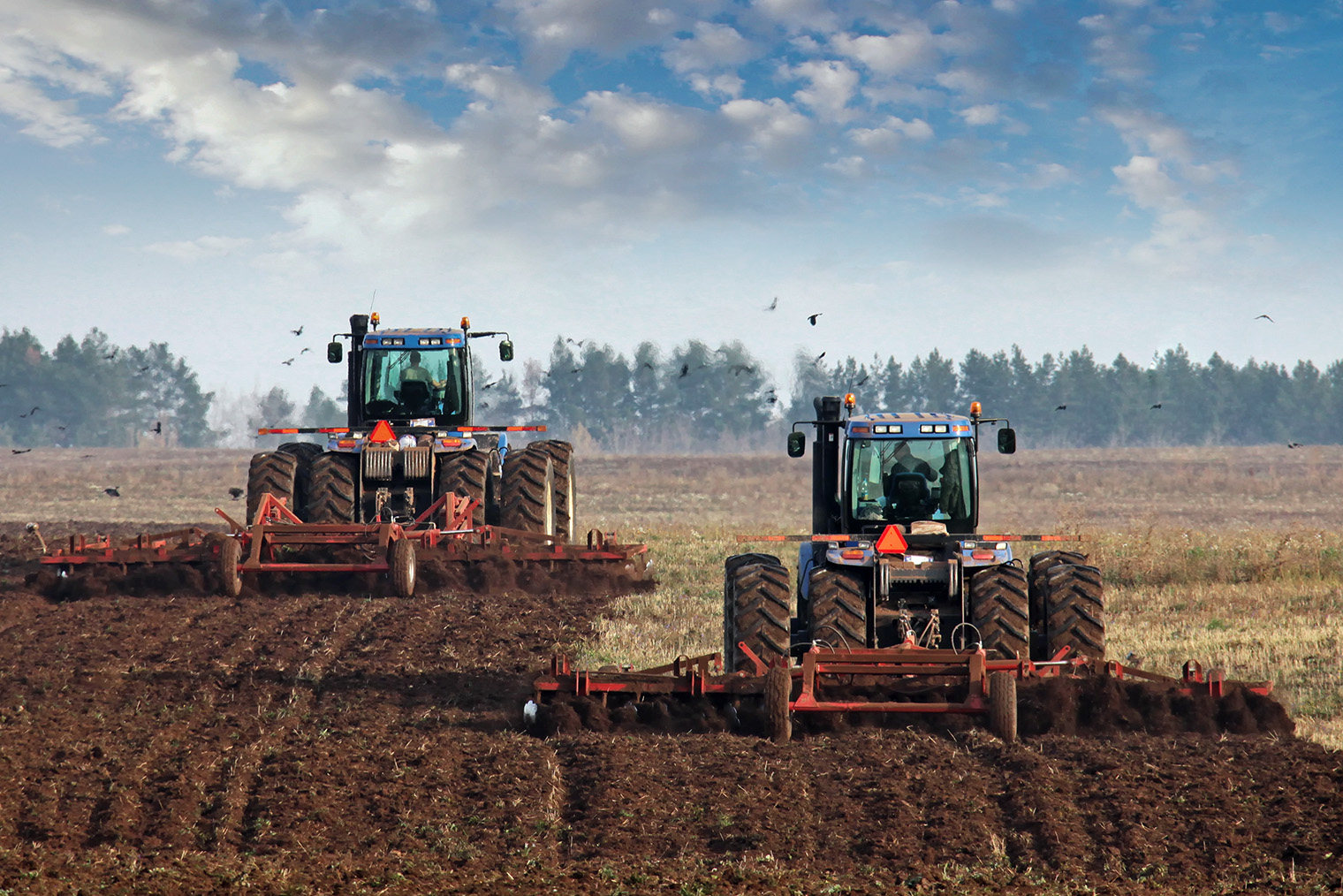 Земли сельхозназначения занимают примерно четверть всей территории России. Фотография: vladimir salman / Shutterstock / FOTODOM