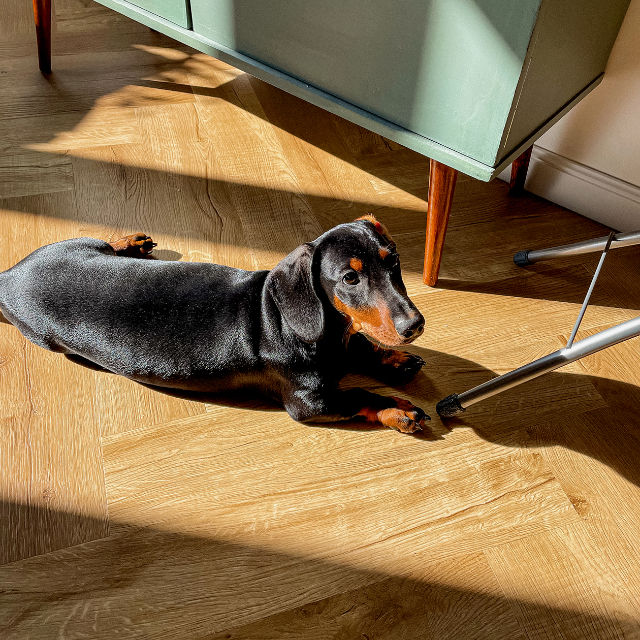 Лучик солнца греет свои бочка