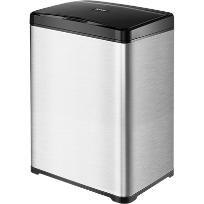Pioneer WB301