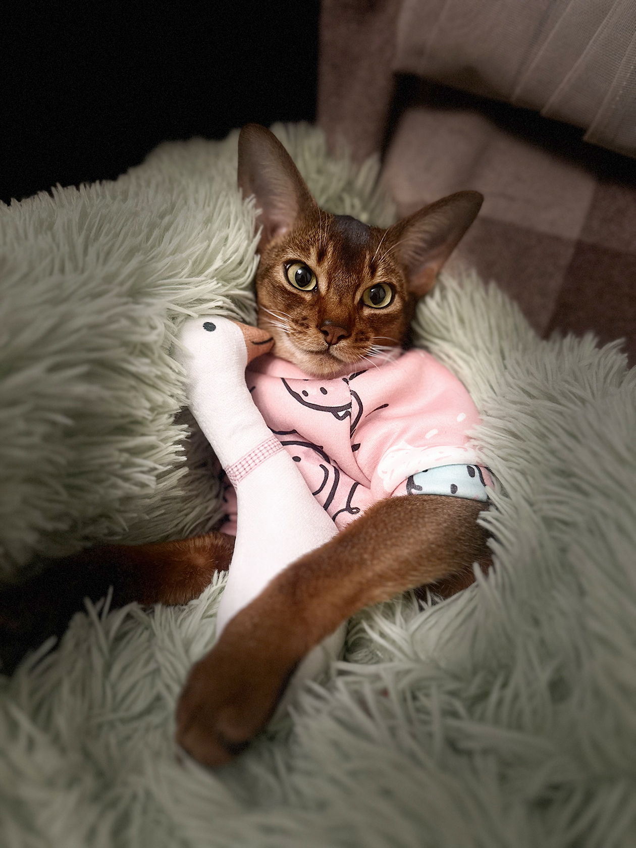 «Да, это мой гусь! Я с ним сплю»