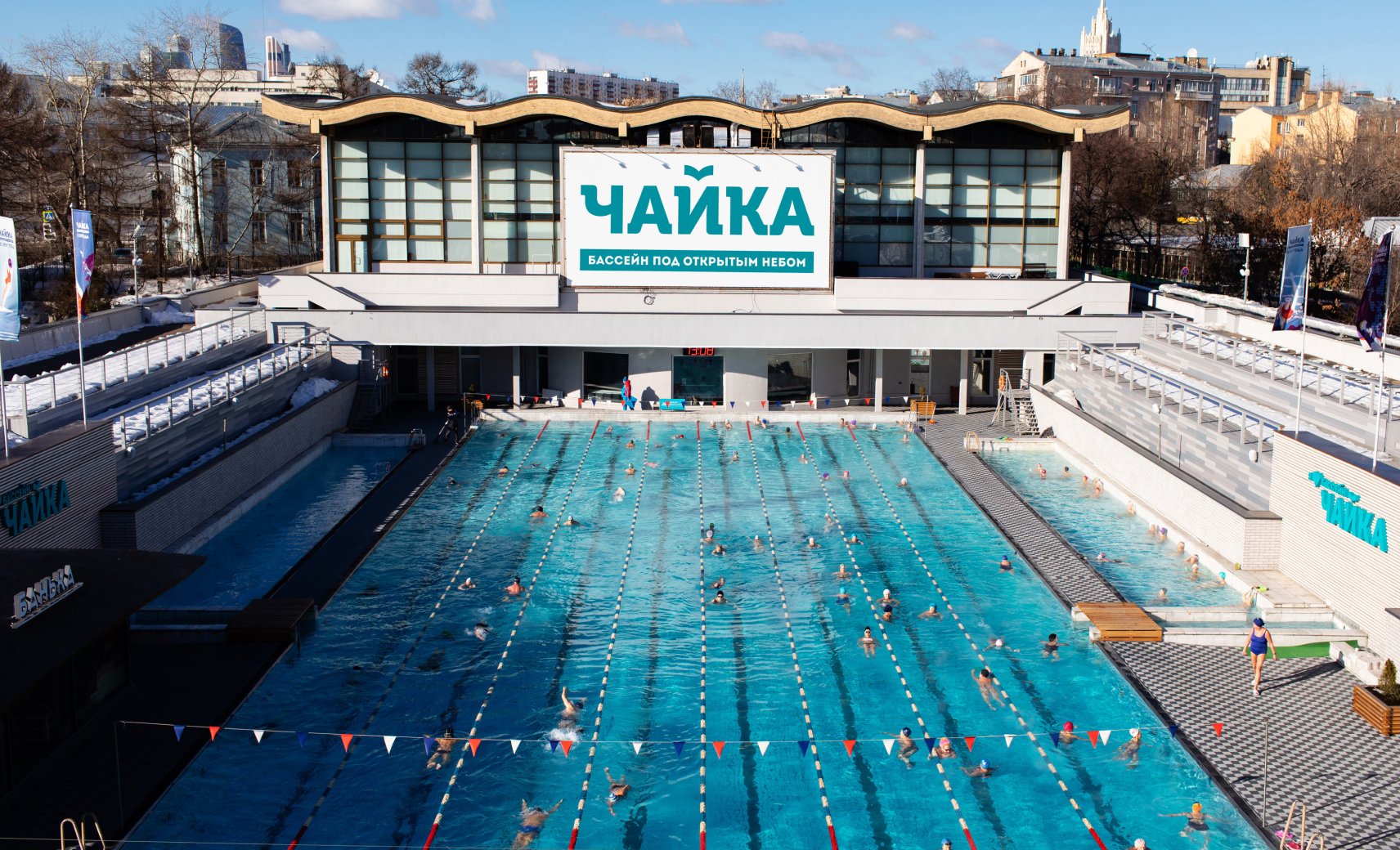 Чайка