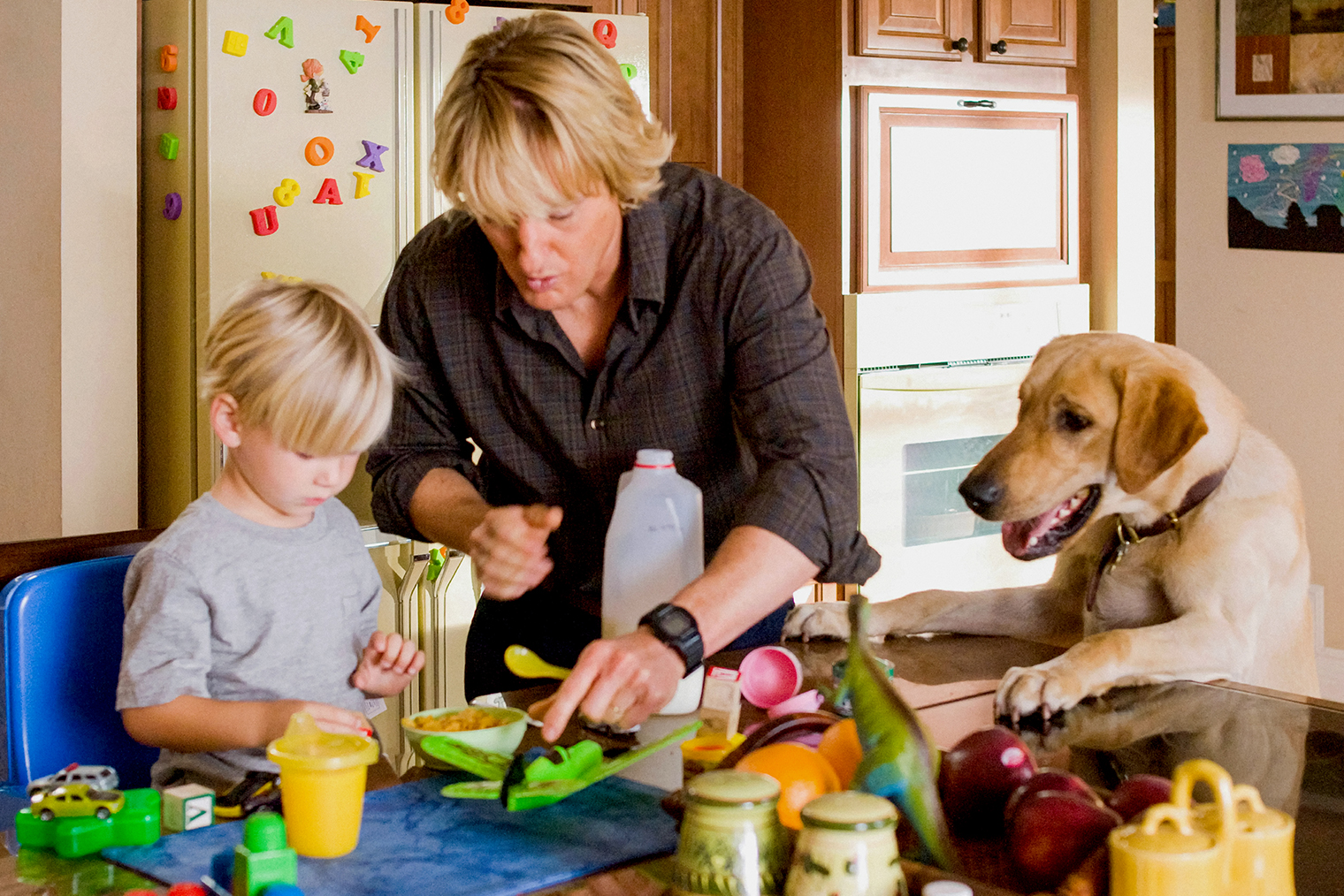 В фильме «Марли и я» питомца семьи играет лабрадор-ретривер. Кадр: Marley & Me / 20th Century Studios / Regency Enterprises