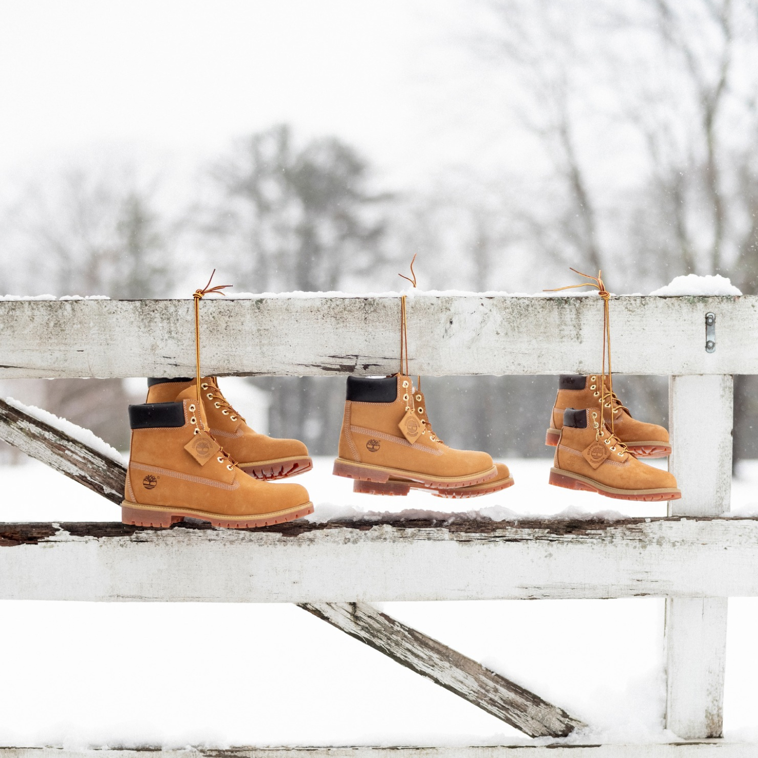 Фотография: Timberland