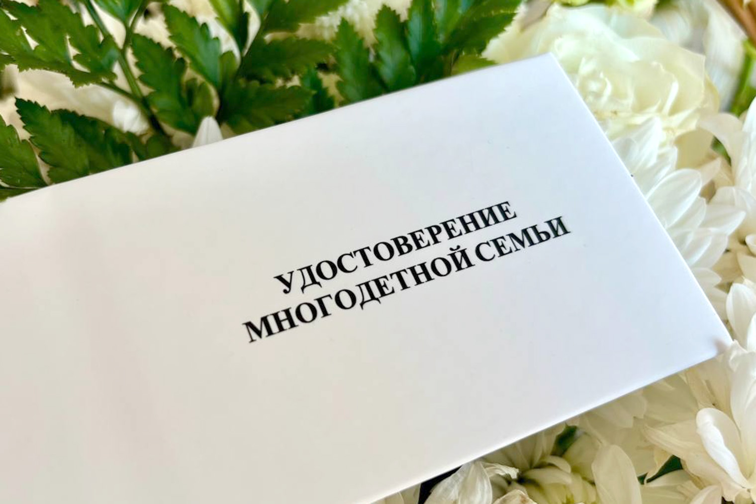 С 2024 года установлен единый образец бумажного удостоверения многодетной семьи, его получают в соцзащите. Вместо бумажного варианта можно предъявлять электронный — QR-код на смартфоне. Они юридически равнозначны. © сообщество в vk.com
