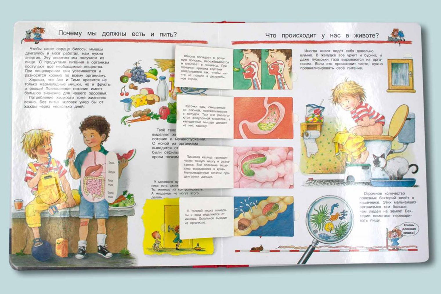 Иллюстрированные энциклопедии с окошками дают возможность в игровой форме понять, как устроен и работает организм. Источник: omega-press.ru