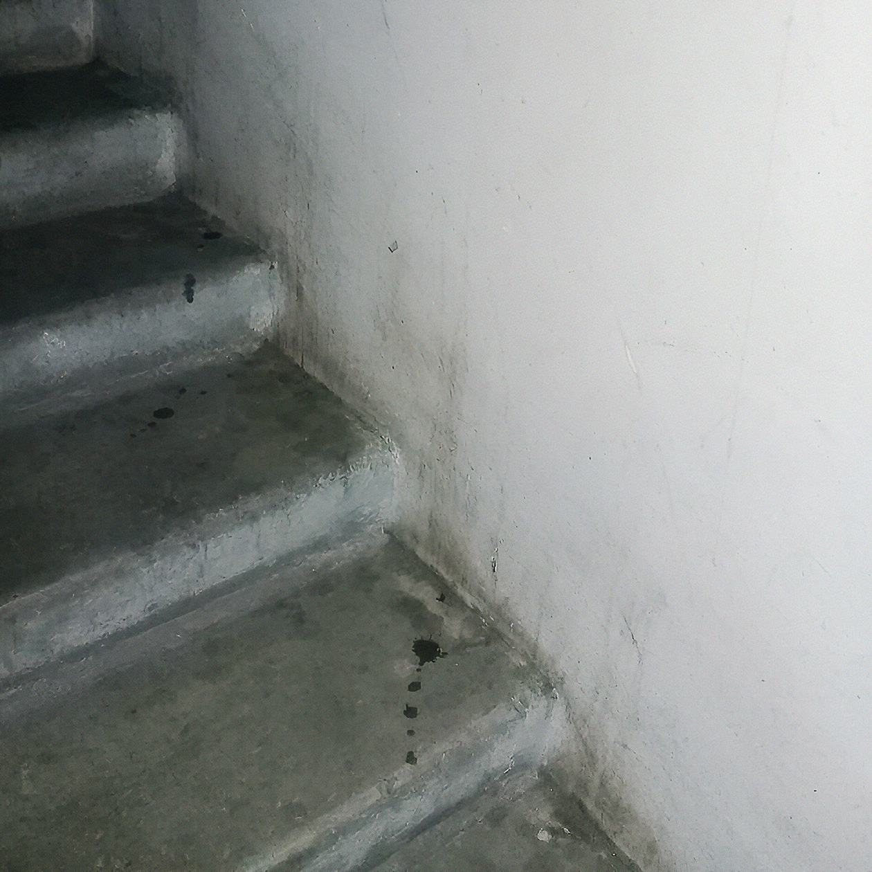 Уборщица этого подъезда говорит, что сложно поддерживать чистоту: лестничные марши шершавые, а стены «маркие». На самом деле здесь давно не убирались тщательно