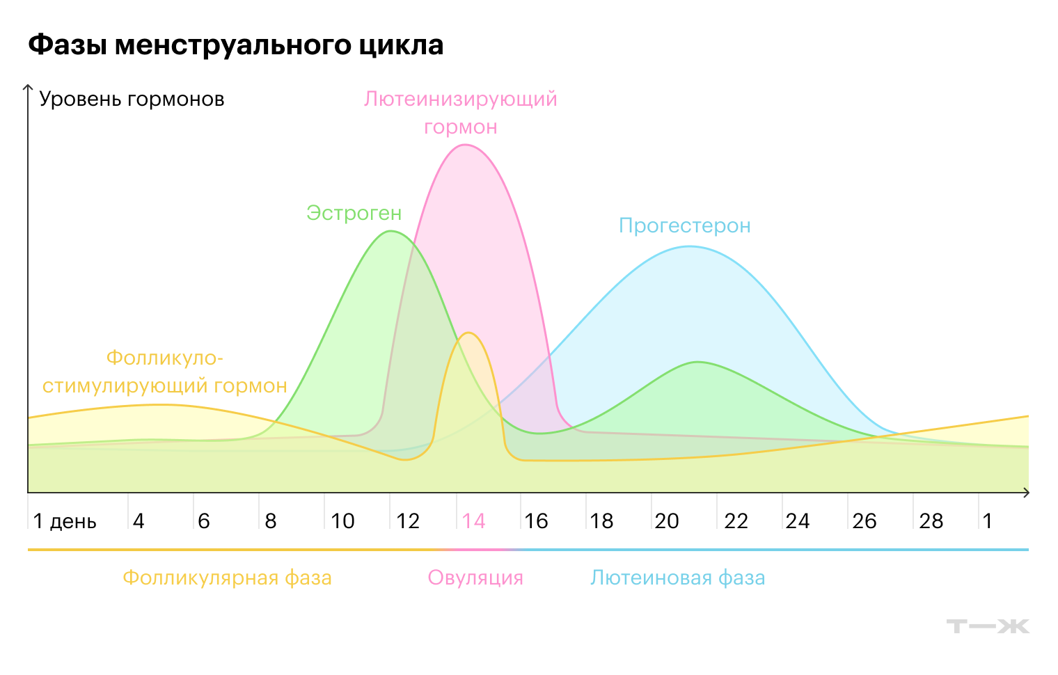 Симптомы ПМС возникают в лютеиновую фазу цикла, когда прогестерон достигает своего пика, а эстроген начинает постепенно снижаться. Считается, что у некоторых женщин колебания половых гормонов влияют на выработку серотонина — нейромедиатора, который участвует в регуляции настроения