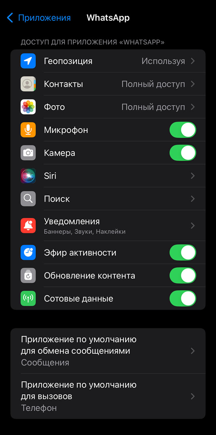 Без разрешений звонок в WhatsApp* не случится. Скриншот с iOS, на Android меню выглядит похожим образом