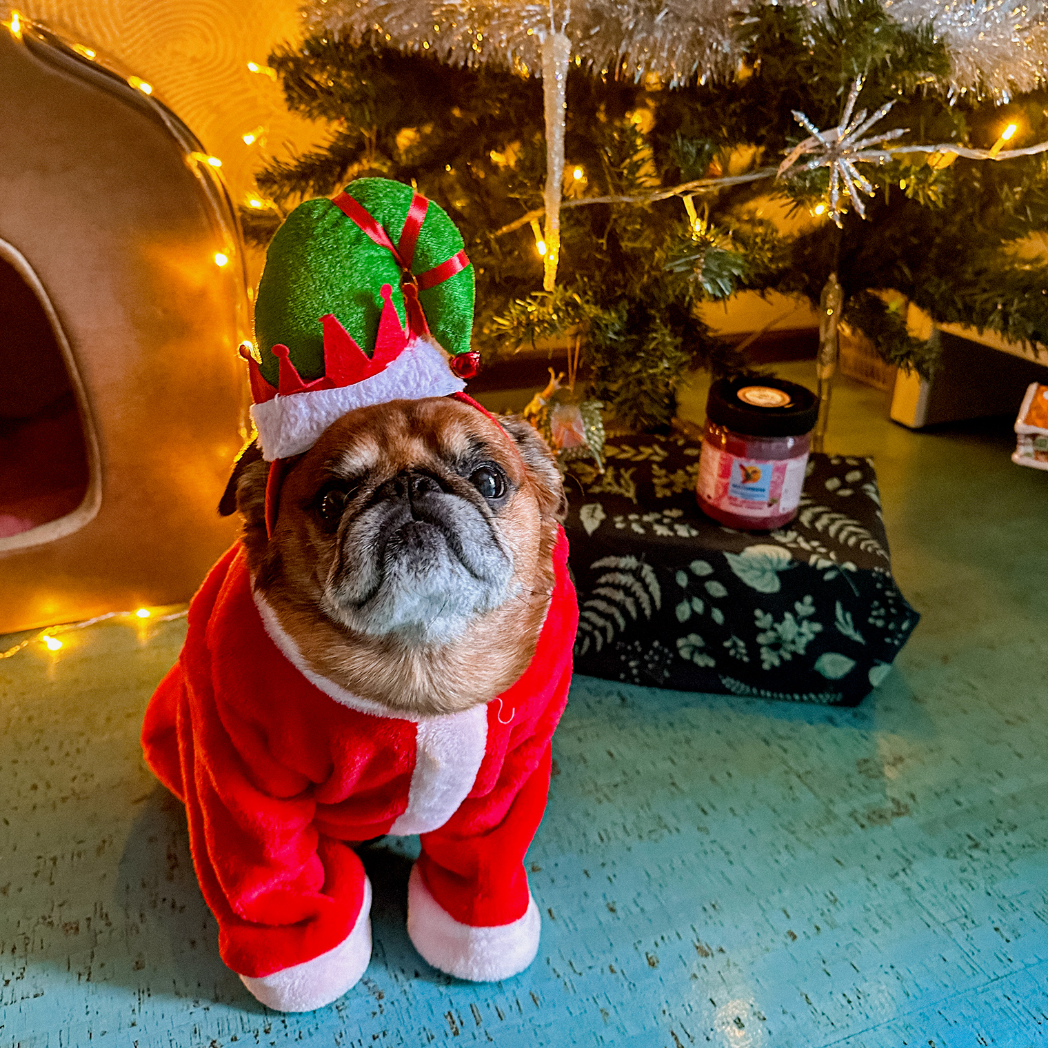 Бронсон Мороз готовился принимать подарки