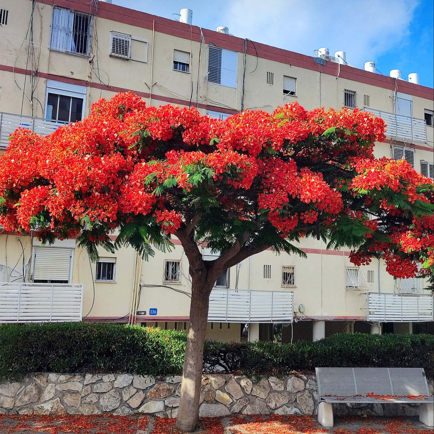 Примерно так выглядят старые дома в Израиле. У них очень тонкие стены