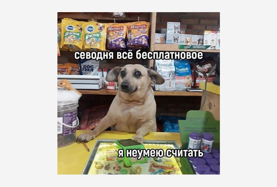 Фон тайла