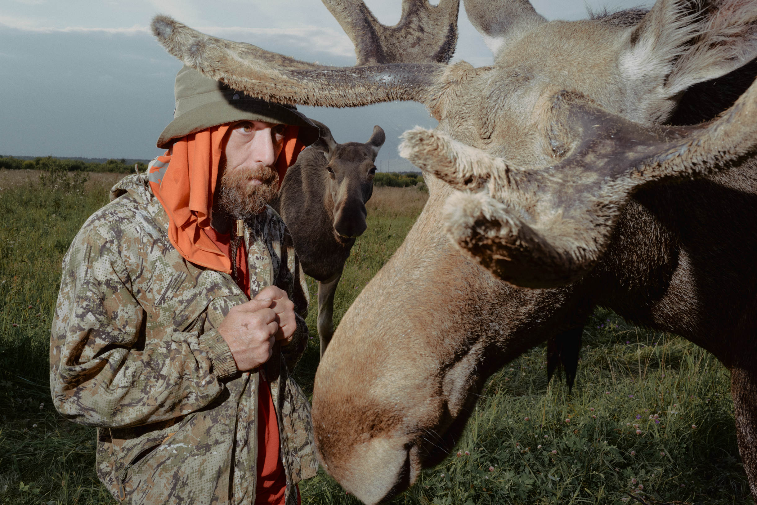 На вопрос, как лоси различаются характерами, Артур отвечает так: «Как у людей, у всех лосей характеры разные: кто-то добрый и никогда не навредит, а кто-то может ударить или вообще не подходит к людям, разве что ко мне. Таким лосям нужно жить на большой территории, где человек им не встретится»