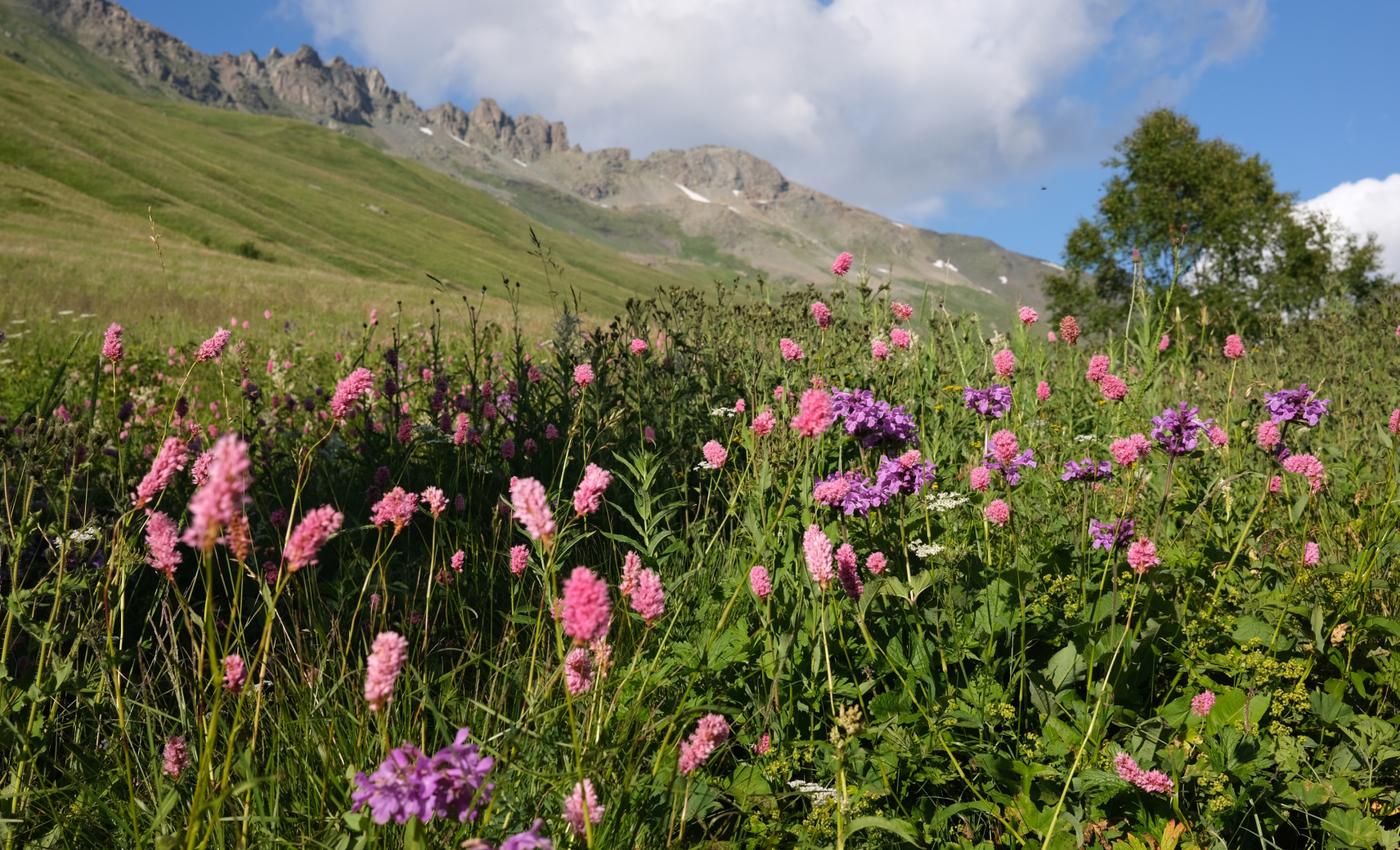Вятские сказки