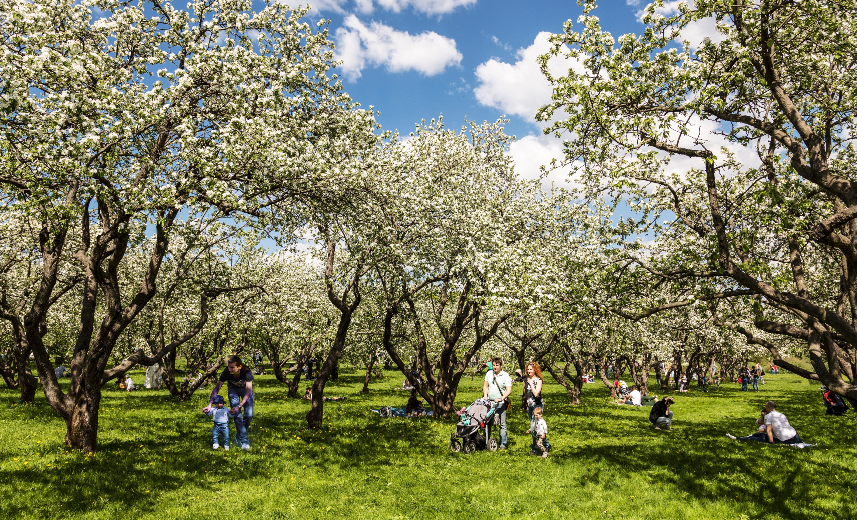 Провести день в Коломенском