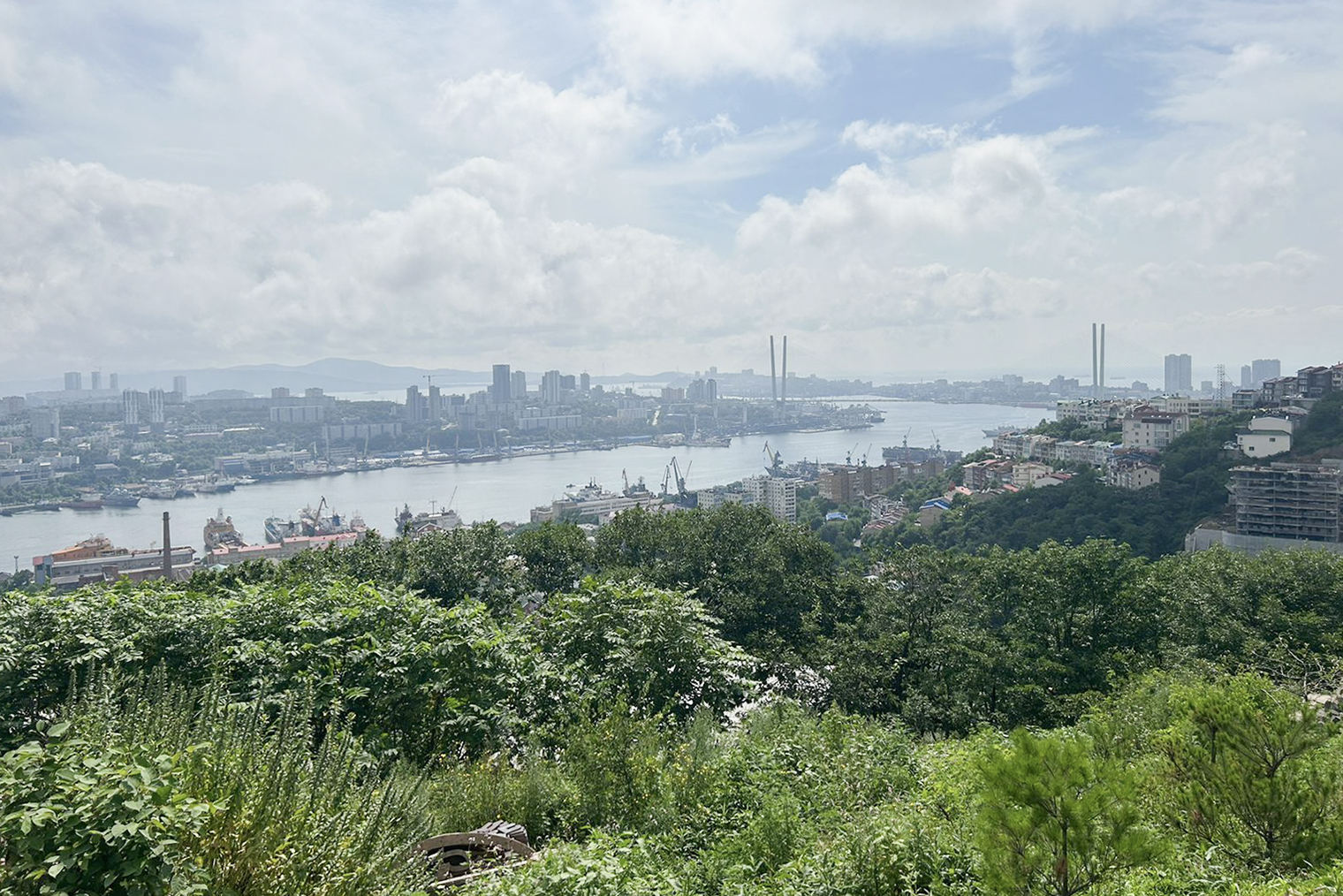 Из парка открывается вид на Владивосток