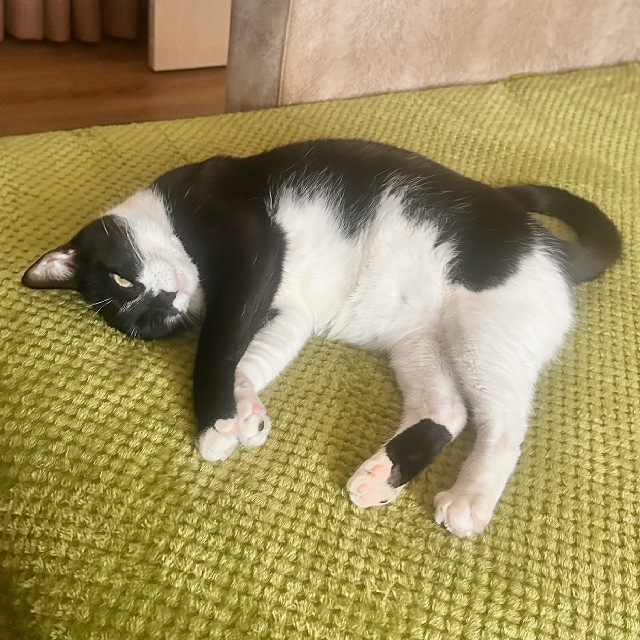 Дома сверлят, но гремлинам это не мешает спать