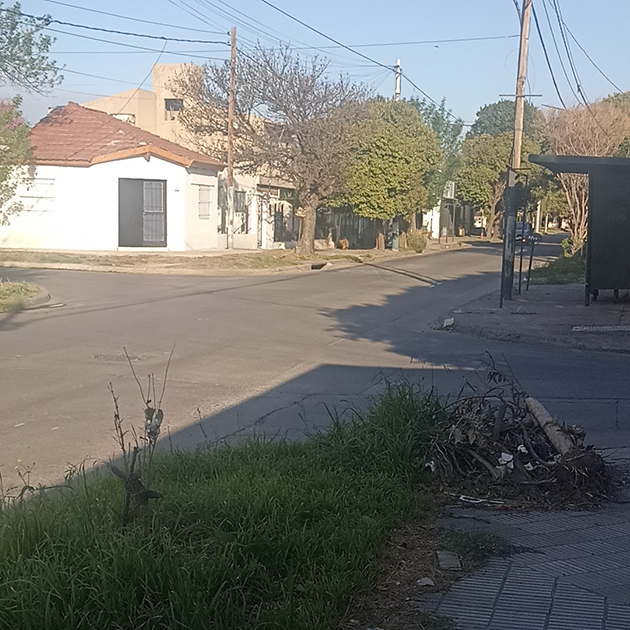 По дороге на тренировку