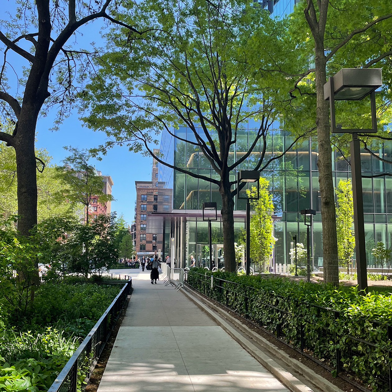 Это мой любимый студенческий спортивный зал