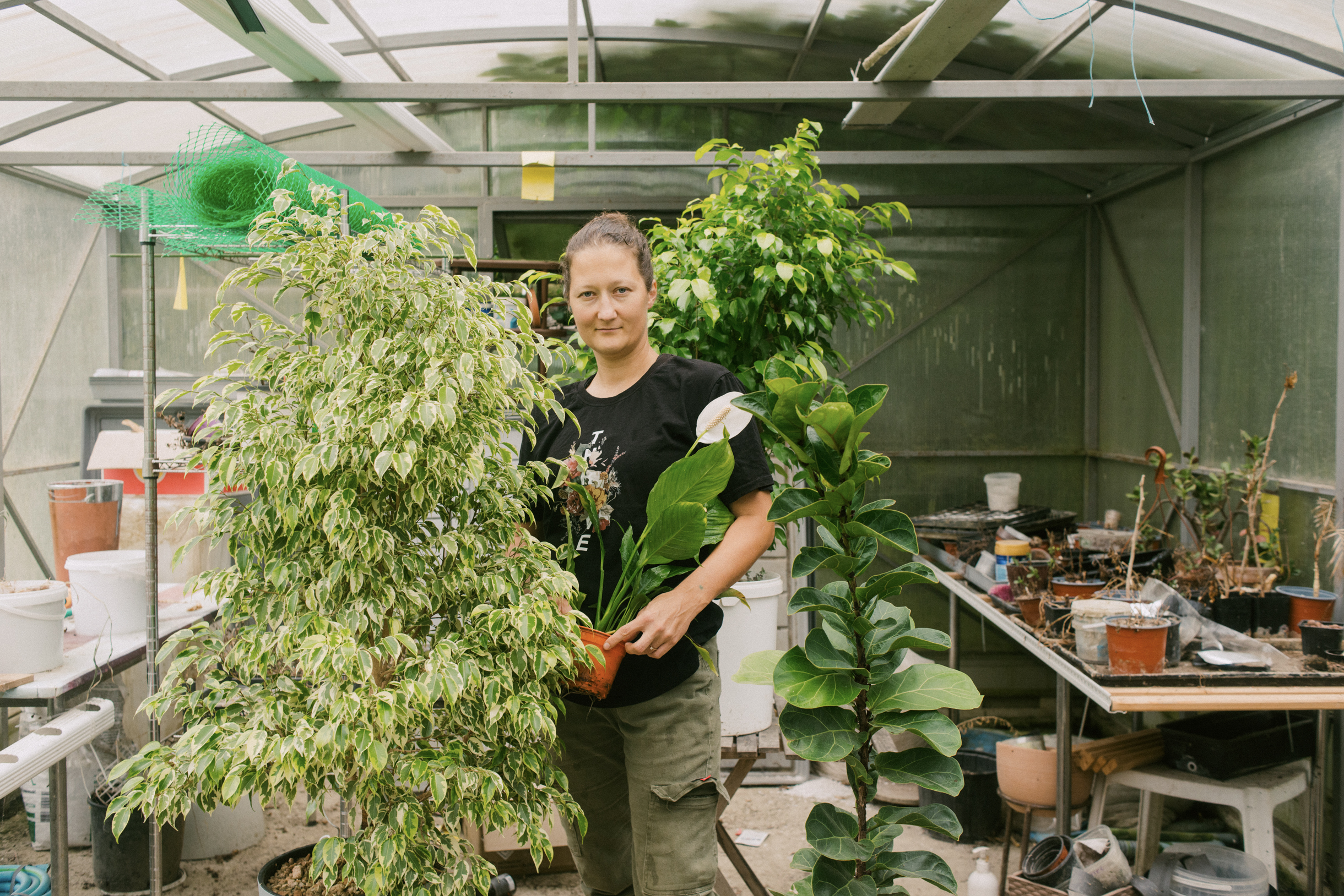 Если все в порядке, работа занимает полчаса-час