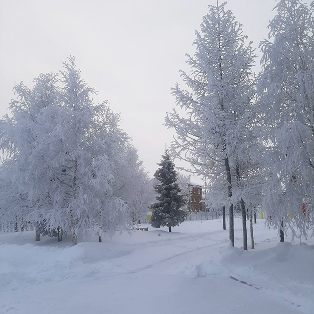 Сегодня на улице