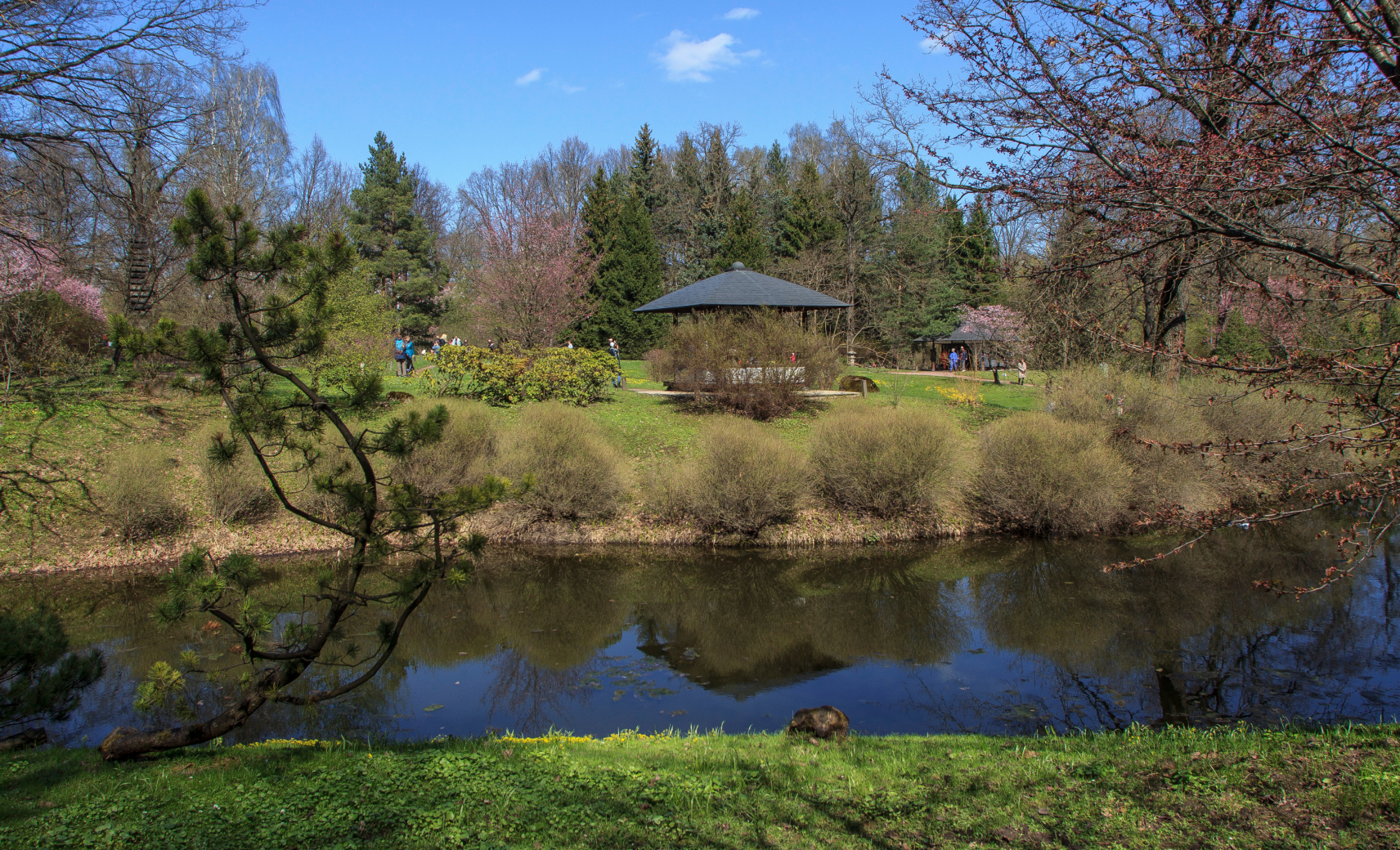 Погулять среди кленов