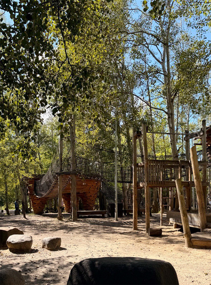Детская игровая площадка «Сказочный лес» с веревочными переходами