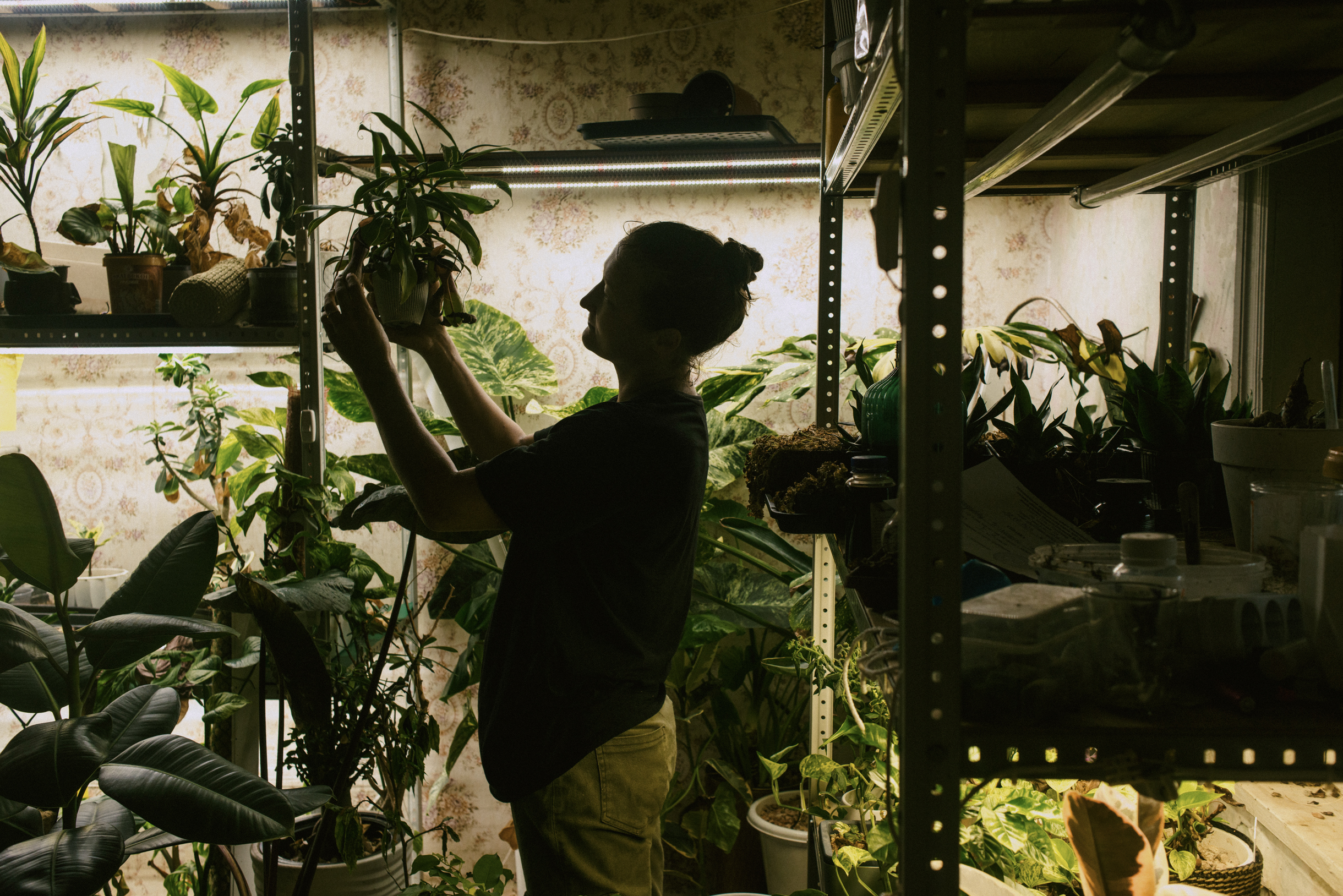 Одним нужно солнце, другим тень