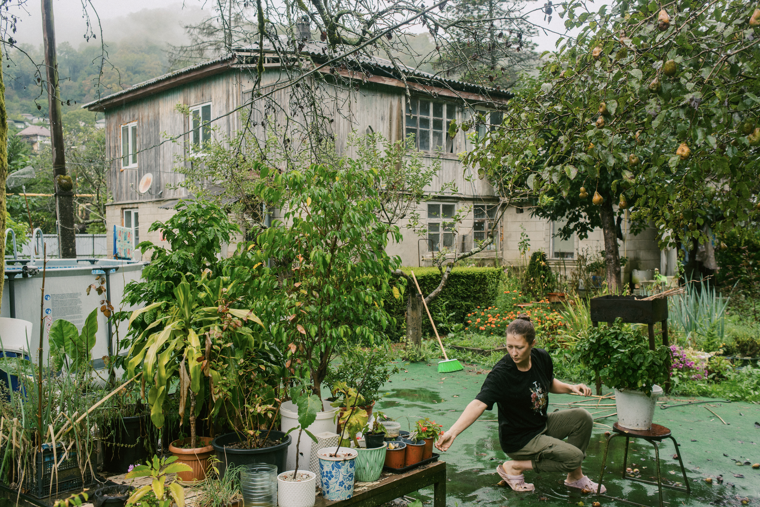 Я вставила в кашпо пластиковую трубку, чтобы проверять уровень воды, как масло в машине