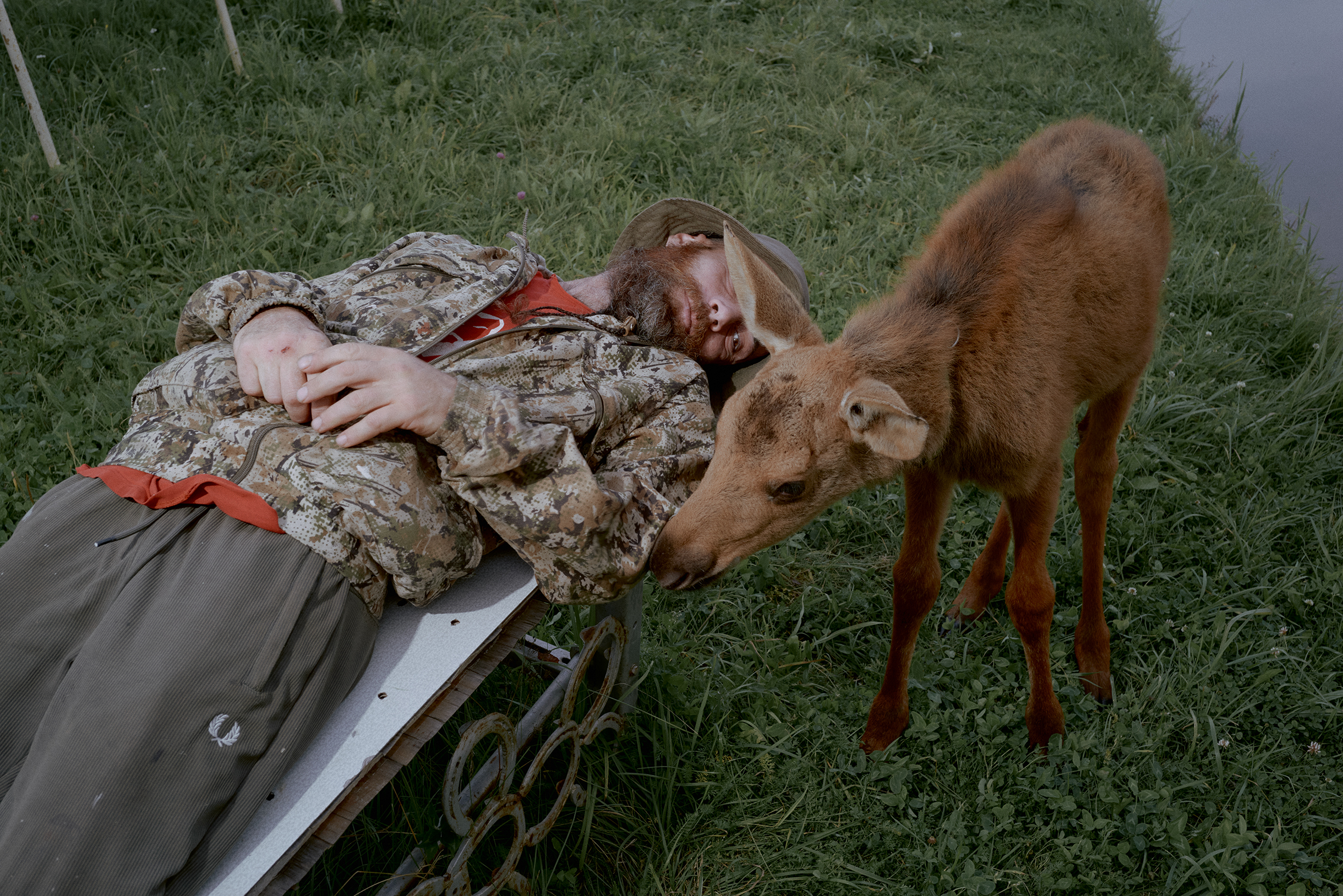 Если лосенок родился в середине лета, к зиме он вырастает до 80 кг вместо оптимальных 110—120 кг. В диких условиях малыш не сможет адаптироваться к холодам, но в вольере центра он перезимует комфортно