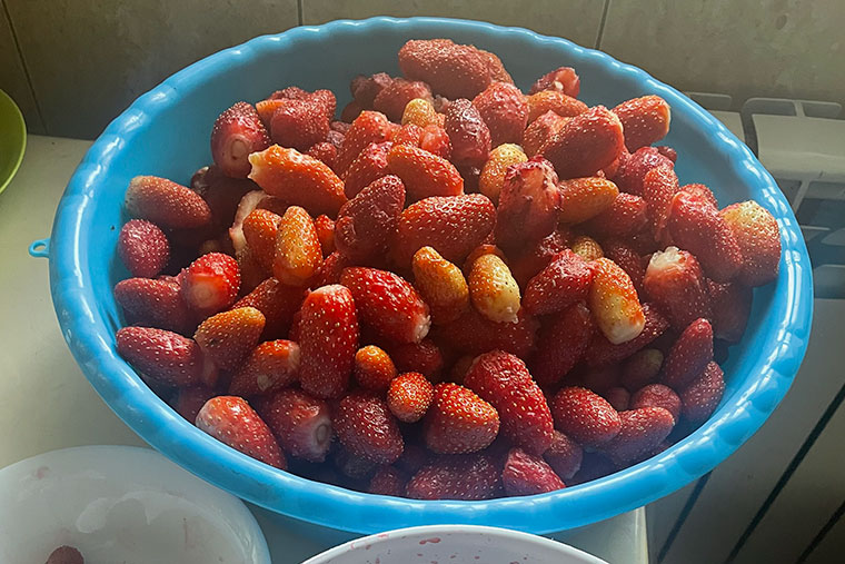 Наши ягоды