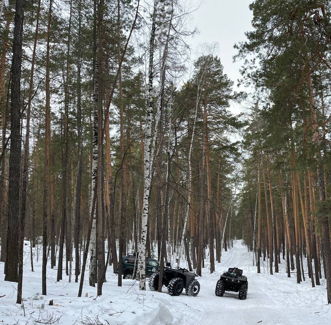 Фотоальбом: как мы съездили на Чертово городище и Северскую писаницу в  марте 2024 года