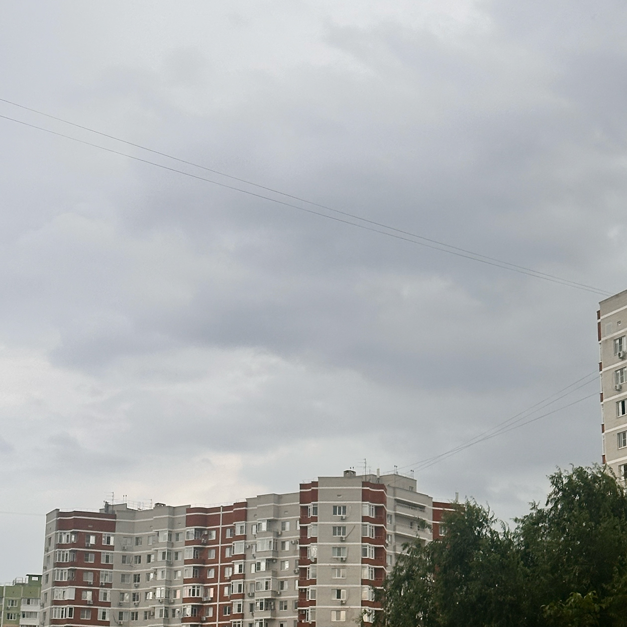 На улице пасмурно и все намекает на дождь, но погода не мешает прогулке