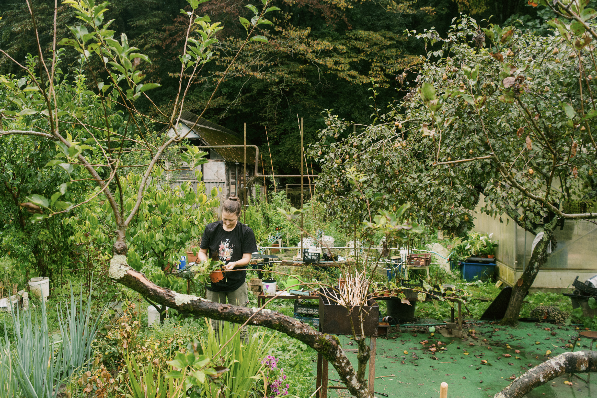 В своем помещении я смогу заниматься этим спокойно, не думая о том, что меня в любой момент попросят съехать