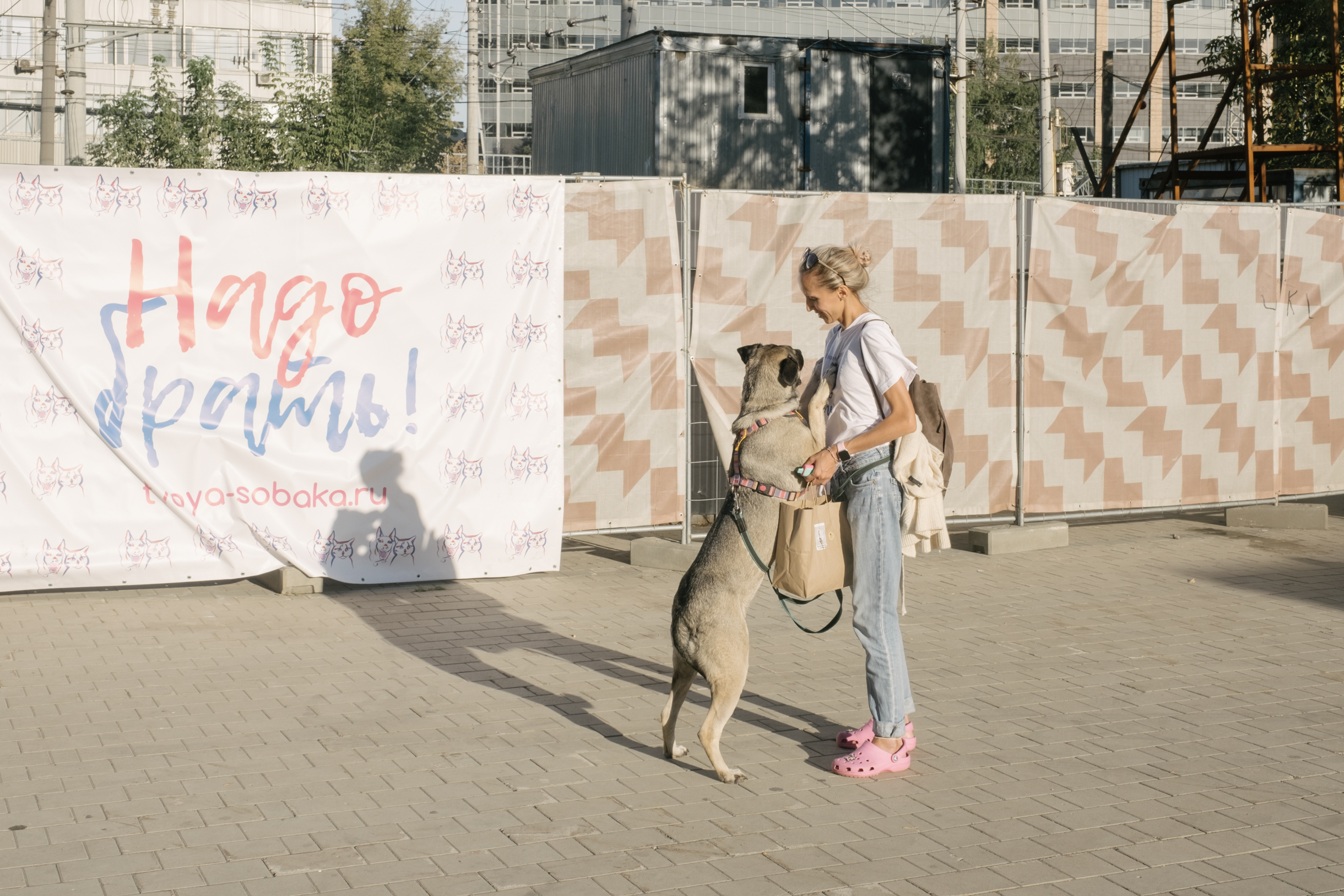 Куратор опекал питомца с момента адаптации в приюте до подачи заявки на выставку, поэтому знает о нем почти все