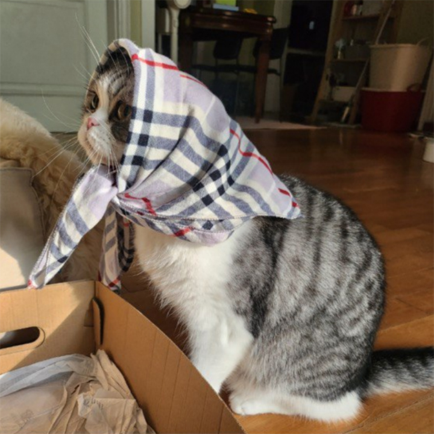 Элли в платочке