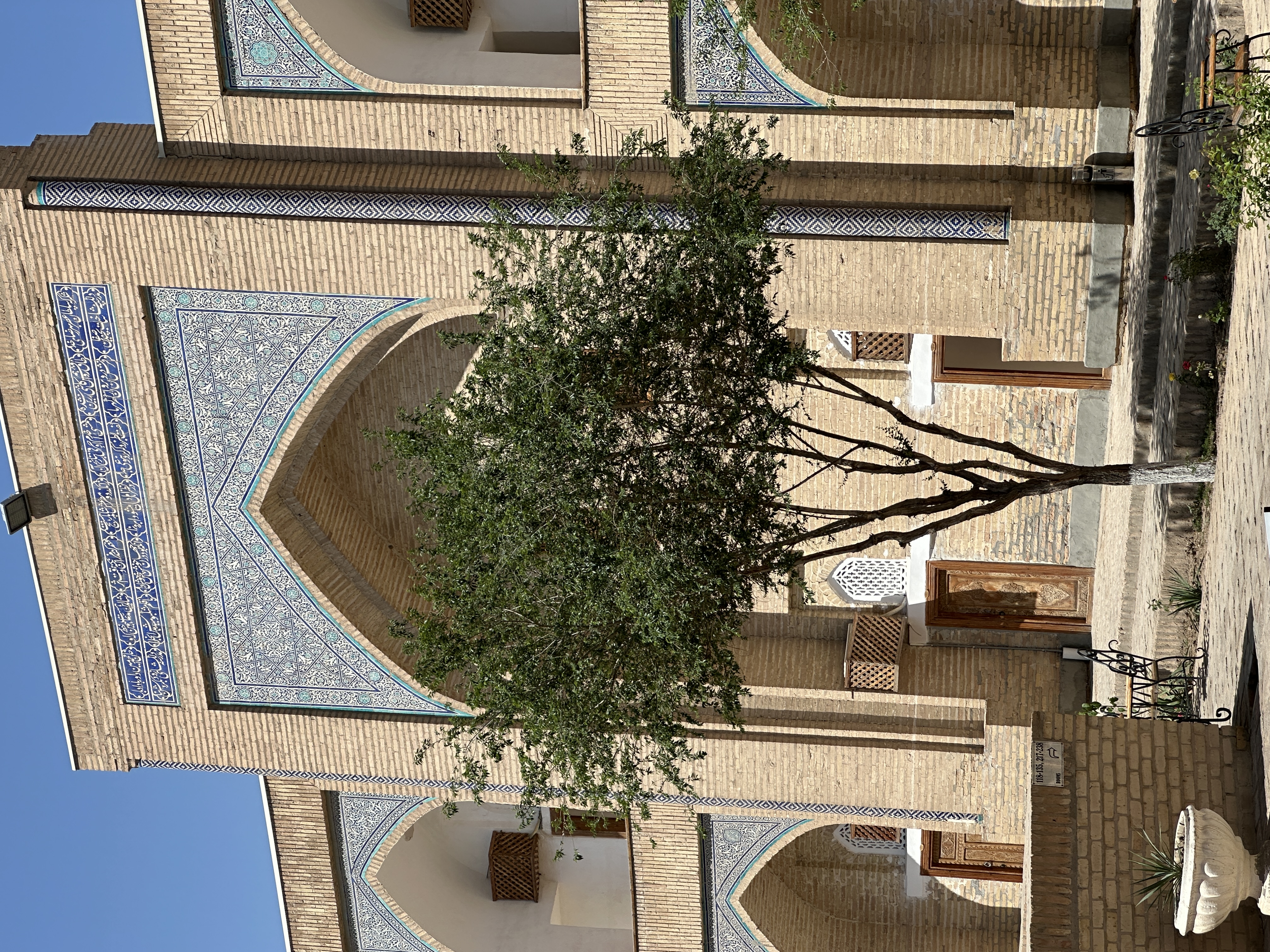 Смоковницы высаживают во внутренних дворах медресе и мечетей