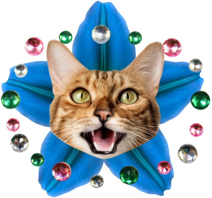 Лейбл заголовка