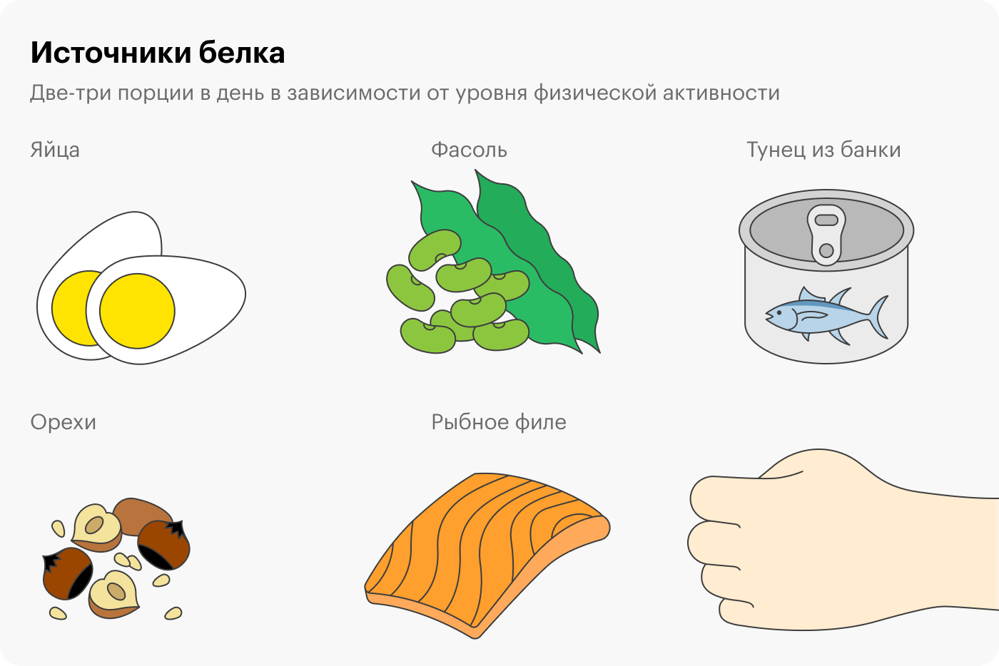 Порция белка равна размеру ладони без пальцев: для ребенка она будет меньше, для высокого мужчины — больше