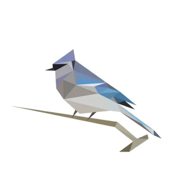 BirdNET