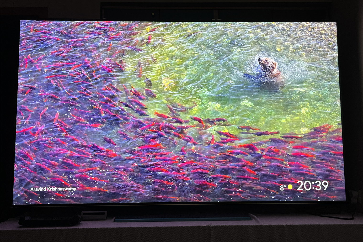 Как бы я ни старался, фото не способно передать, насколько он большой — так что придется поверить