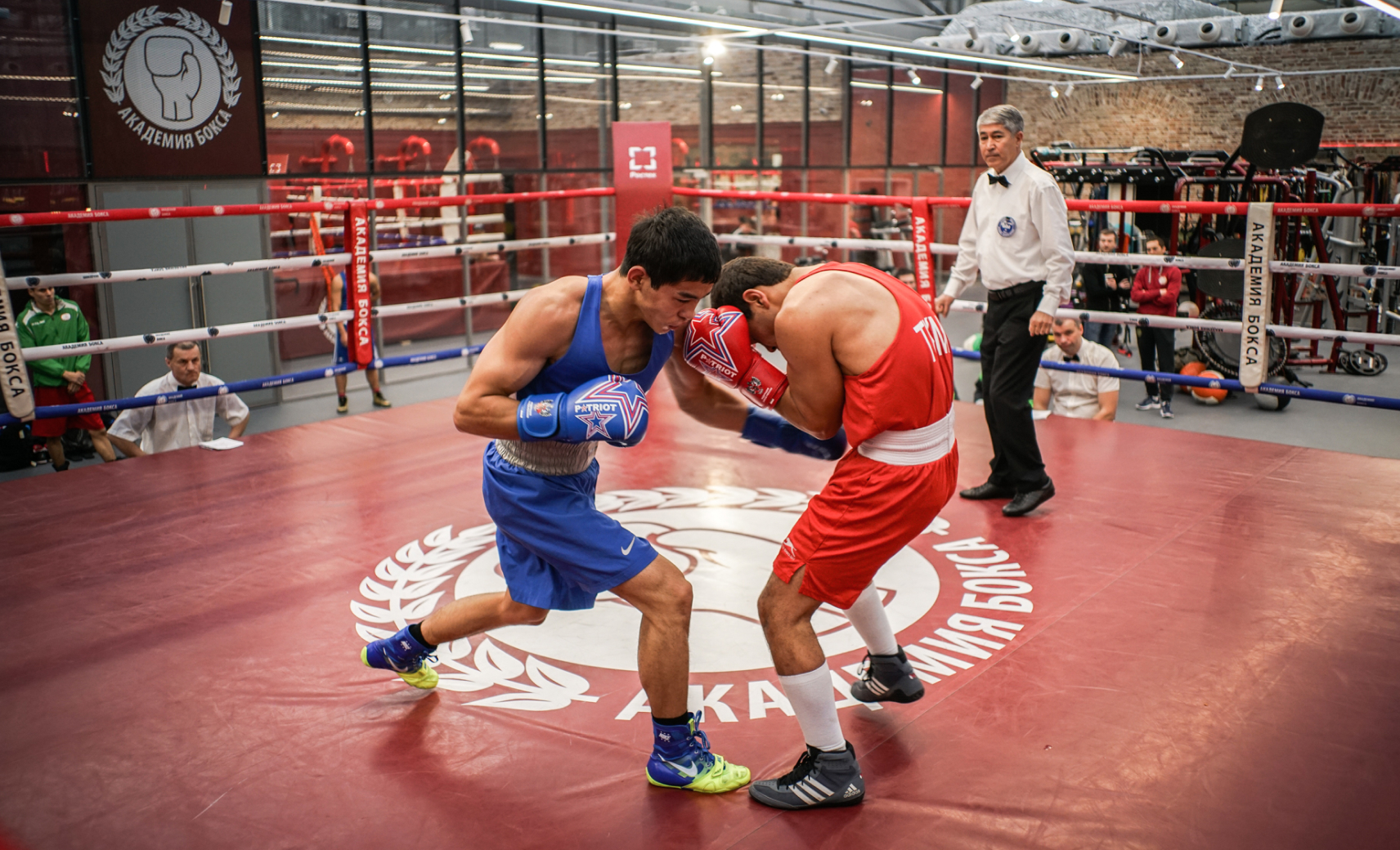 Академия бокса