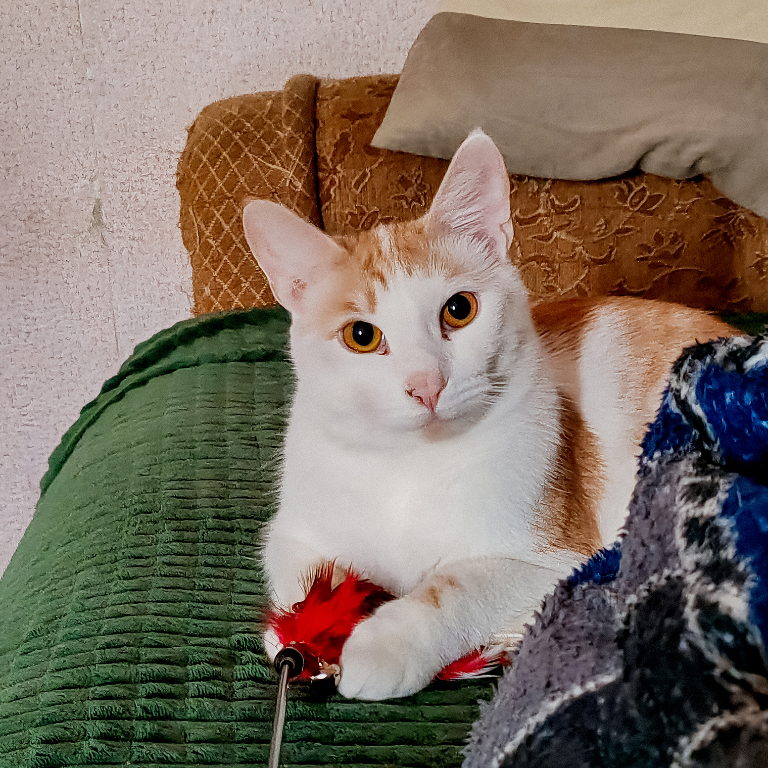 За год Вильям подрос