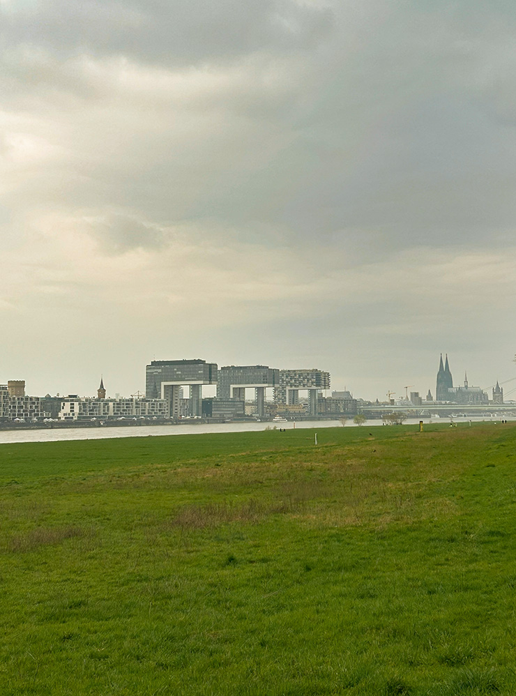 Вид на Рейн, Кельнский собор и Kranhäuser — дома в виде кранов. Это местная достопримечательность