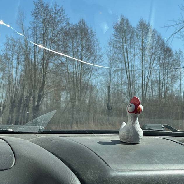 Едем с коллегами на субботник